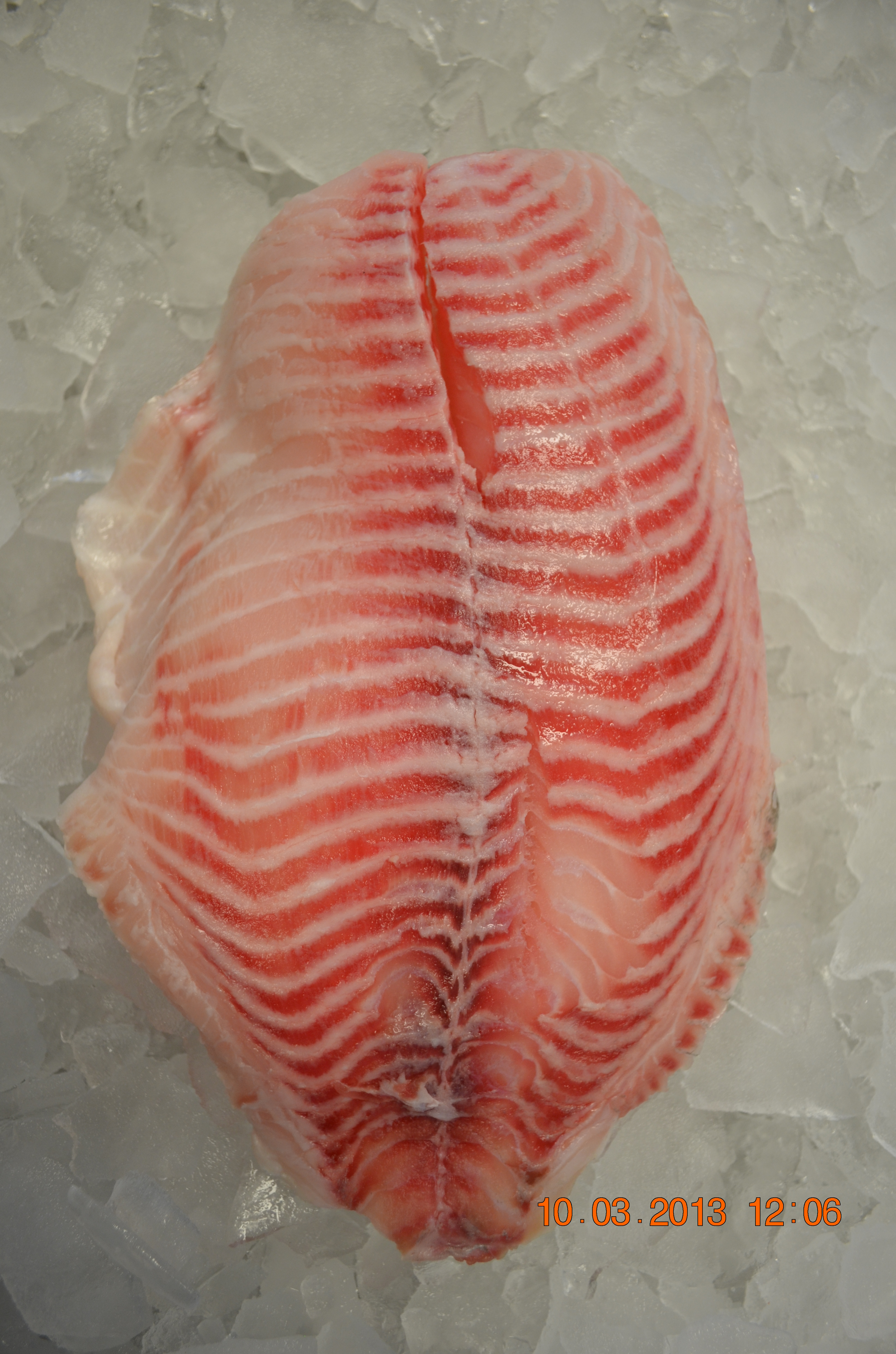 Fish | Golden Seafood - Wholesale and retail